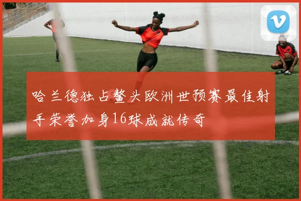 哈兰德独占鳌头欧洲世预赛最佳射手荣誉加身16球成就传奇