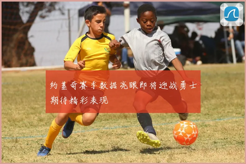 约基奇赛季数据亮眼即将迎战勇士期待精彩表现